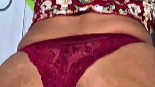 Moray eels captivate with intense looks