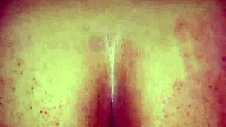 the neighbor slut moans loud as i fuck her hard in doggystyle