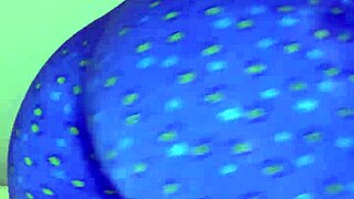 Hot Amateur Girl Fucks Her Ass and Pussy. Small Natural Tits Bounce During Softcore Sex.