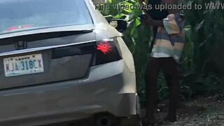 Picked up a cheap Arab sloth off the road for my homie to handle.