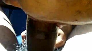 subtle car blowjob from a mature pov