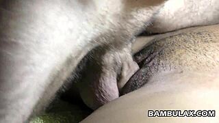 ebony girlfriend fucked by big white cock and creampied