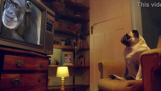 benefit monkey i masturbate amy douxxx on my living room couch with a vibrator