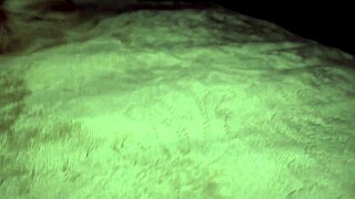 Two Beauties Screaming During Passionate Missionary Sex