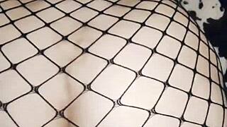 my wife rides me cowgirl in erotic mesh bodysuit