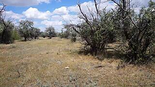 Savannah vixen enjoying a mature outdoor adventure with amateurs