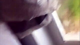 Blondes On Blacks Comp