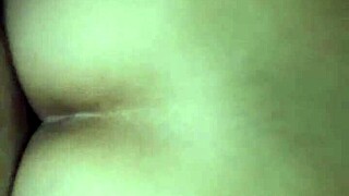 chatting with my mexican cousin