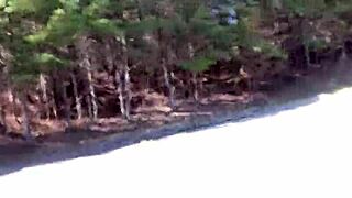 Clitlicker662 opdatering 13 - img 1223 fra 13 okt 2024 i naturen