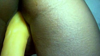 Betrayed by the fat boy in solo