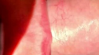 Colombiana Sabrinafoxy Seduces Lover in Hotel for Blowjob