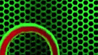 busty penny pax rimmed and ass drilled