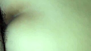 chatting with my mexican cousin