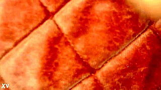 She Pulls Up for Big Black Cock Action