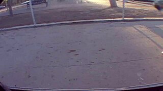 Black Haired Beauty Enjoys Pussy Pounding!