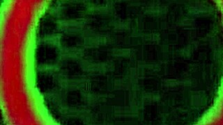 Does Rome Major's sperm excite Nyomi Star?