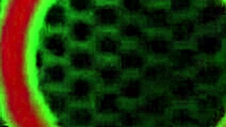 Karlo Karrera craves Sara Jay's big ass doggy