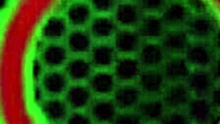 Cum Inside 19yo Hazel Moore’s Ass After Philly John’s Dick