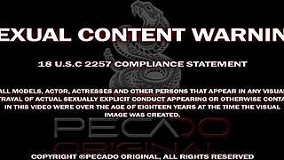 Picks up a cumbia singer and takes her straight to bed