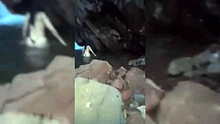 Sexy wife enjoys intense fucking with her husband, riding hard after blowjob.