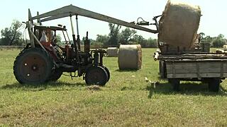 Sandra Romain banging hard outdoors with big tits on display