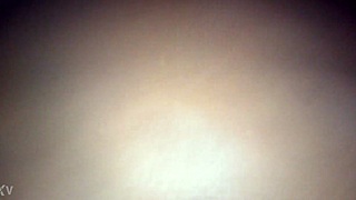 Amateur interracial couple does reverse cowgirl riding with blowjob