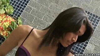 brazilian shemale babe tugging on her hard cock solo masturbation hardcore amateurs!