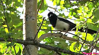 Haley Reed And Kyler Quinn At Uncle's Summer Camp