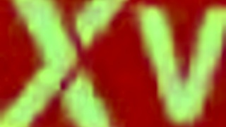 A cop's cheating pregnant wife wants a creampie at the wedding.