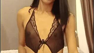 legacy mess aum lights up the scene