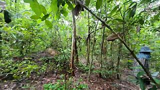 Thai Teen Whore Shows Off in Deep Forest