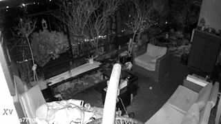 M4rkus77 caught jerking and cumming with moans!