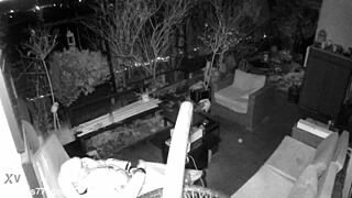 M4rkus77 caught jerking and cumming with moans!