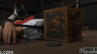 Four angels inside tiny cage