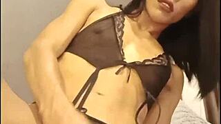 legacy mess aum lights up the scene