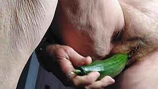 Oma Neukt Oude Harige Kut Met Komkommer
