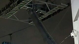 Tranny se saca la verga en el cablebus exhibit