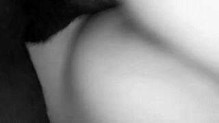 Riding Big Black Cock Bitch