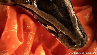 A Seductive Mature Brunette Body That Could Make Any Man Want to Seduce Her.