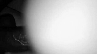 Riding Big Black Cock Bitch