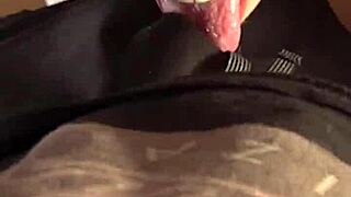 Blowjob From Candie Cross Starts The Day Petite Amateurs Early Morning Homemade