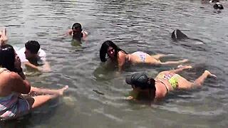 Habesha girls from Ethiopian East Afrika