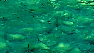 hey, can i jerk off riskily in a public park on people?