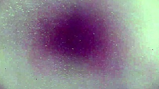 that bitch's huge hairy pussy surprises everyone