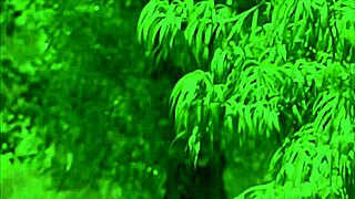 gauge rides that dick like a pro in stockings