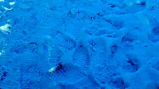 hey, can i jerk off riskily in a public park on people?