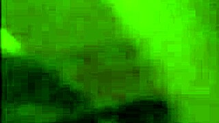 white trash allison loves bareback blowjob and swallowing cum