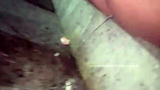 Xixi Na Rua Publica - Renatinha Mello