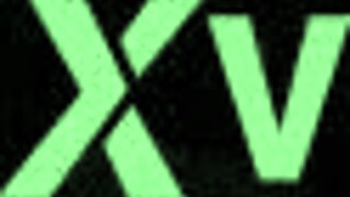 slow motion shows bbw slut's big ass shaking during assfucking