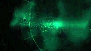 Alix Lovell swallows after blowing Miles Long